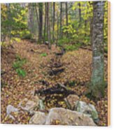 Appalachian Autumn #5 Wood Print