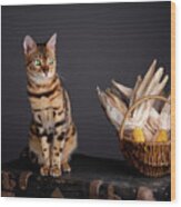 Bengal Cat Portrait #5 Wood Print