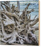 Driftwood Beach #6 Wood Print