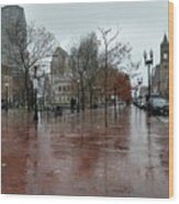 Rainy Day In City Of Boston Massachusetts #5 Wood Print