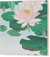 Water Lily By Ohara Koson Wood Print