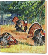 #590 Turkey Strut  #590 Wood Print