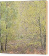 Autumn With Bilberries, Bracken And Silver Birch Trees #6 Wood Print