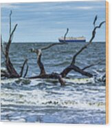 Driftwood Beach #7 Wood Print