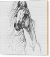 Horse Head  #6 Wood Print