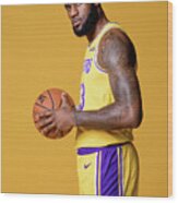 Lebron James #6 Wood Print