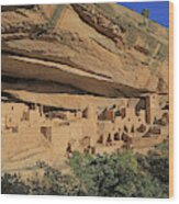 Mesa Verde - Cliff Palace #5 Wood Print