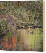 Autumn Pond #7 Wood Print