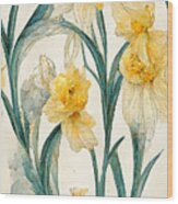 Daffodils #7 Wood Print