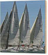 Bay Regatta #8 Wood Print