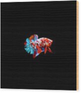 Multicolor Betta Fish #8 Wood Print
