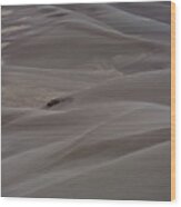 Sand Dunes #10 Wood Print
