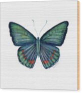82 Bellona Butterfly Wood Print