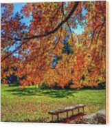 Fall Foliage Massachusetts Usa #9 Wood Print