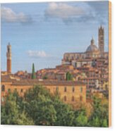 Siena - Italy #9 Wood Print