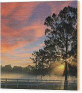 Morning Fog And Sunrise Color Wood Print