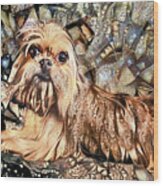 A Brussels Griffon Dog Named Winston Wood Print