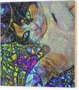 A Calico Cat Named Shadow - Stained Glass Wood Print