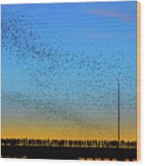 A Colony Of 1.5 Million Mexican Free-tailed Bats Emerge From The Congress Avenue Bridge At Sunset Wood Print
