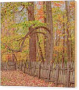 A Crooked Old Fence In The Shadow Of Fall Wood Print