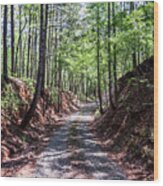 A Deep Trench Gravel Road Wood Print