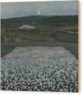 A Flower Field Up North, 1905 Wood Print