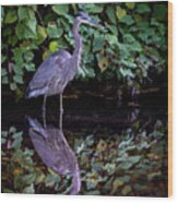 A Great Blue Heron And Its Reflection In The Bronx River Wood Print
