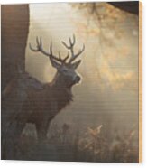 A Large Stag The Mist. Wood Print