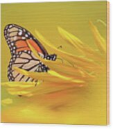 A Monarch Butterfly On A Sunflower Wood Print