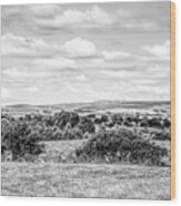 A Monochrome View Of The Scout Moor Wind Farm Looking From Heywood, Greater Manchester. Wood Print