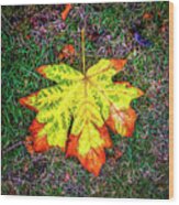 A New Leaf Wood Print