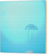 A Peaceful Floating Jellyfish Wood Print