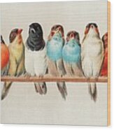 A Perch Of Birds Wood Print