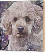 A Poodle Named Doodle Wood Print