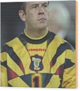 A Portrait Of Andy Goram Of Scotland Wood Print