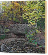 A Rustic Bridge In The Ramble - A Central Park Impression Wood Print