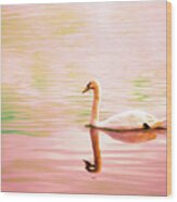 A Swan In Burano Wood Print