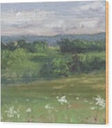A View Of Ashland Country From The Hill At Byers Woods Wood Print