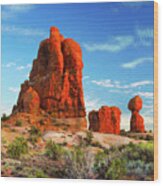 A Walk Through Arches National Park 5 Wood Print