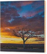 A Welcome Tree Sunset Wood Print