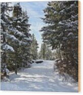 A Winter Trail Wood Print
