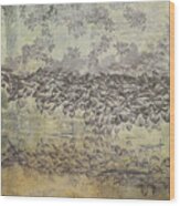Soft Abstract Hue Wood Print