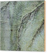 Abstract In The Tree Bark Wood Print