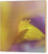 Abstract Macro Of Iris Snapshot Wood Print