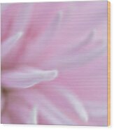 Abstract Pink Flower Wood Print