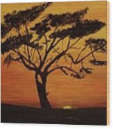 Acacia Tree Wood Print
