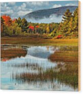 Acadia Meadow Wood Print