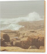 Acadia National Park Fog Wood Print