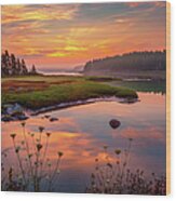 Acadia Sunrise 0532 Wood Print