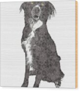 Actually So Cute, Border Collie Wood Print